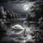 Preview: Schwan bei Vollmond